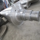 Biella Jack Piston idraulico d'acciaio del cilindro dell'universo di pezzo fucinato di alta qualità Sae1045 Ss316
