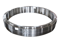 Q235 Q345b ha forgiato Ring Bearing Casted Lifting di conservazione d'acciaio