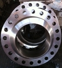 L'acciaio caldo di pezzo fucinato St52 Q235b di vendita che conserva Wormwheel ha forgiato lo spazio in bianco della ruota